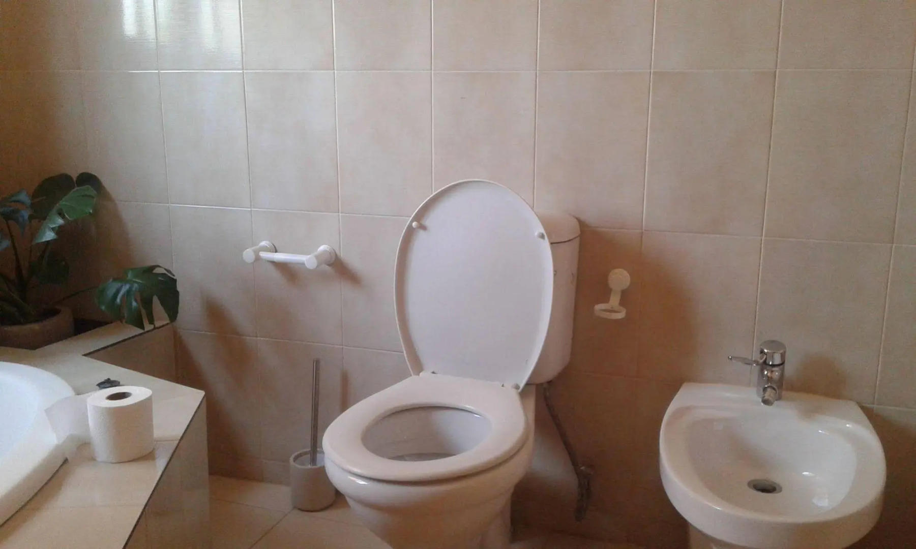 Inca-Rose Guest House