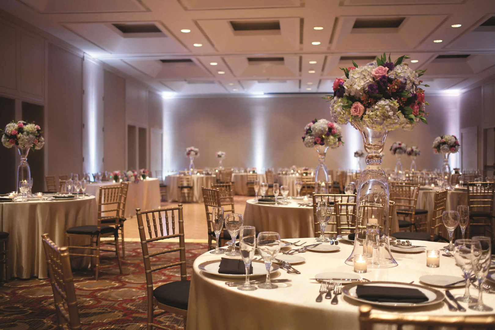 Hilton Boston/Dedham