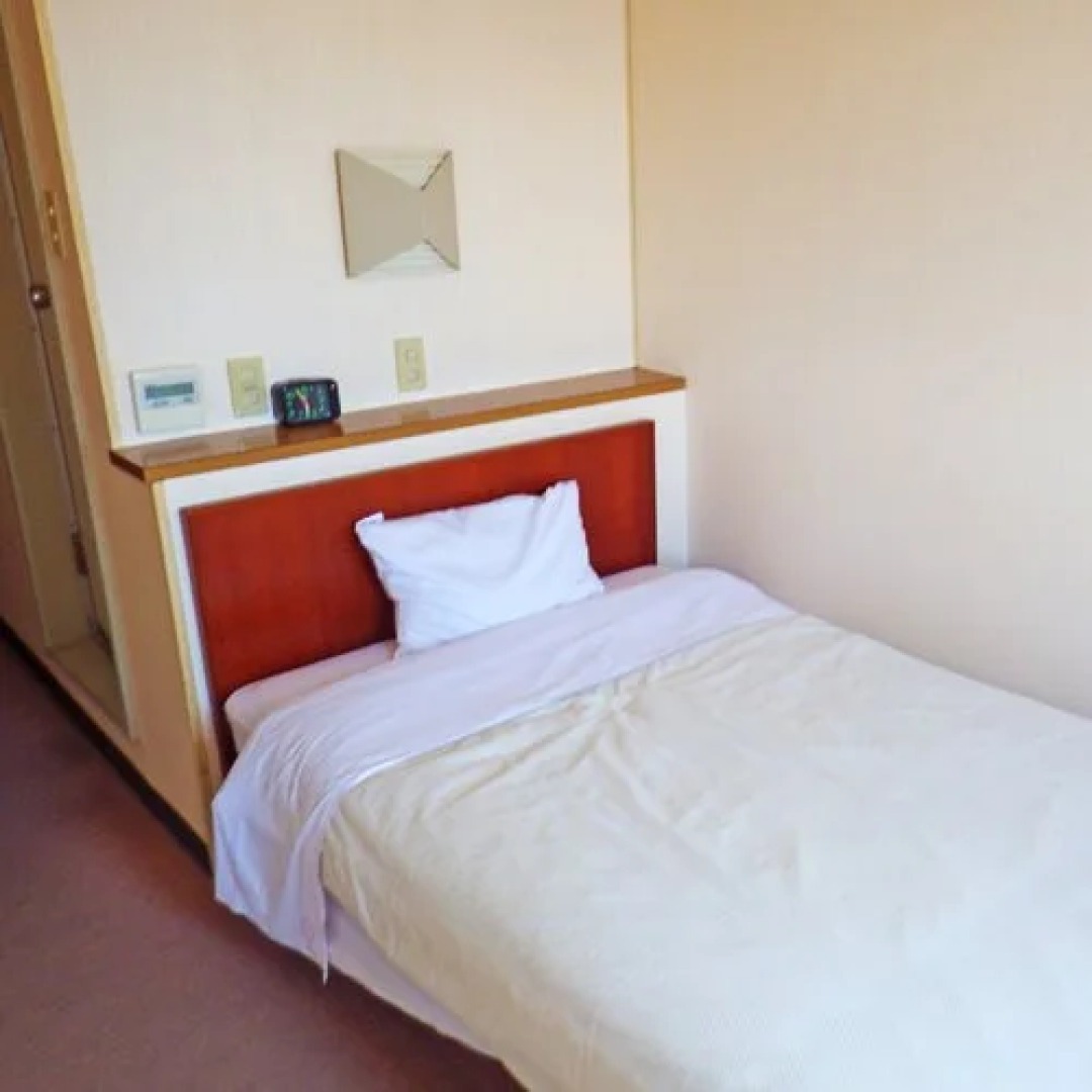 Business Hotel Minami