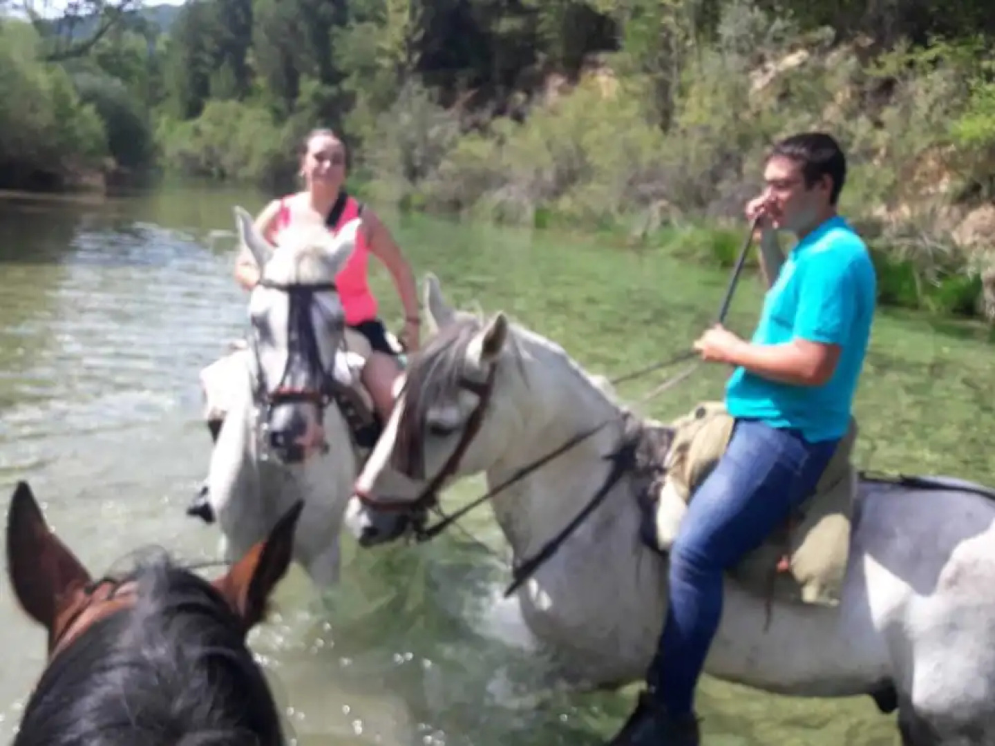 Apartamentos Turísticos Los Tejos