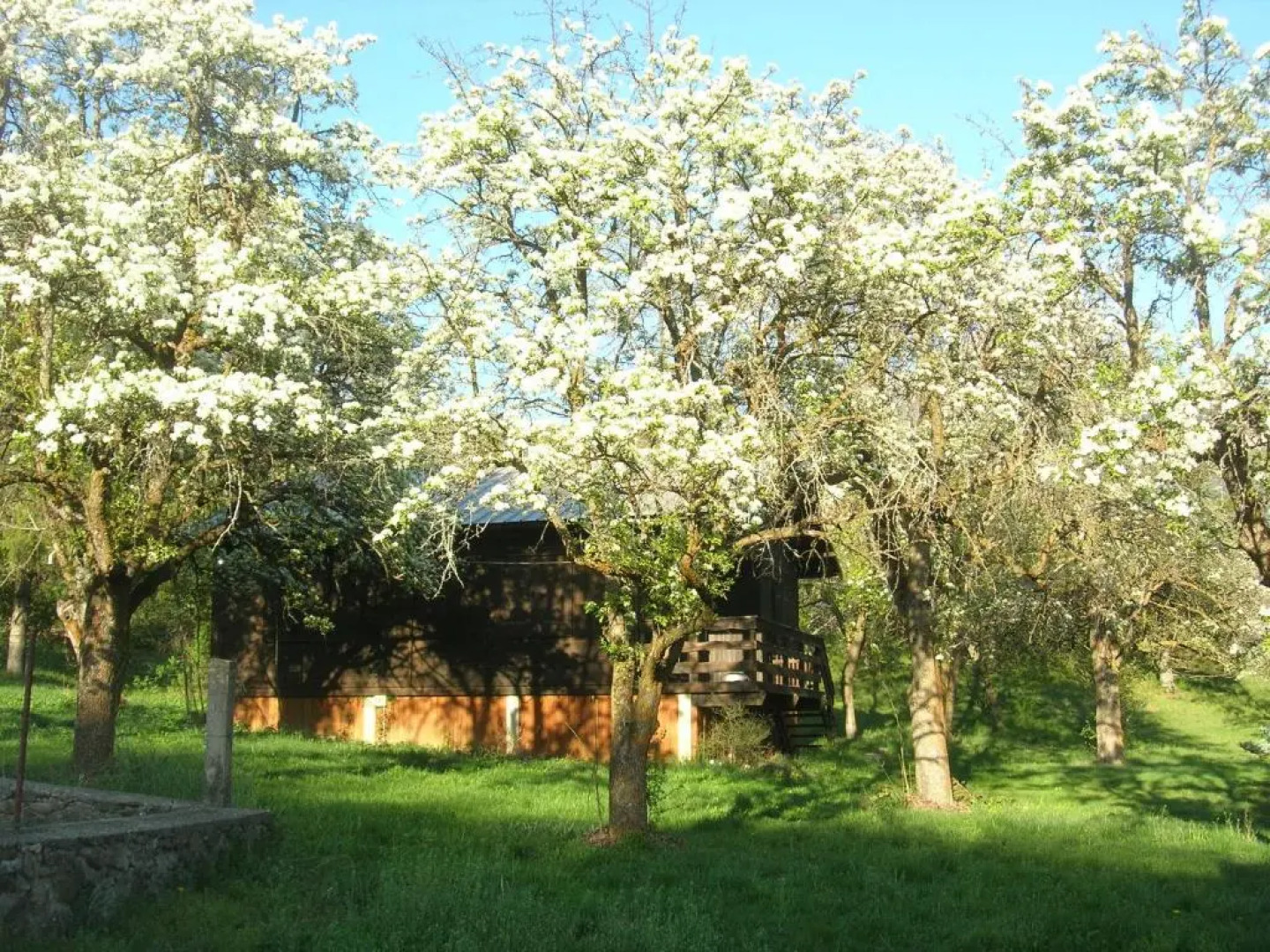 Hotel de plein air les Cariamas