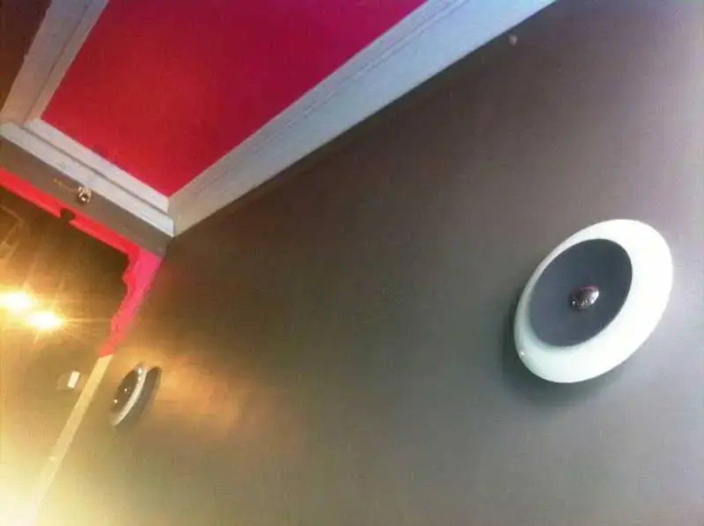 Guesthouse Botanique