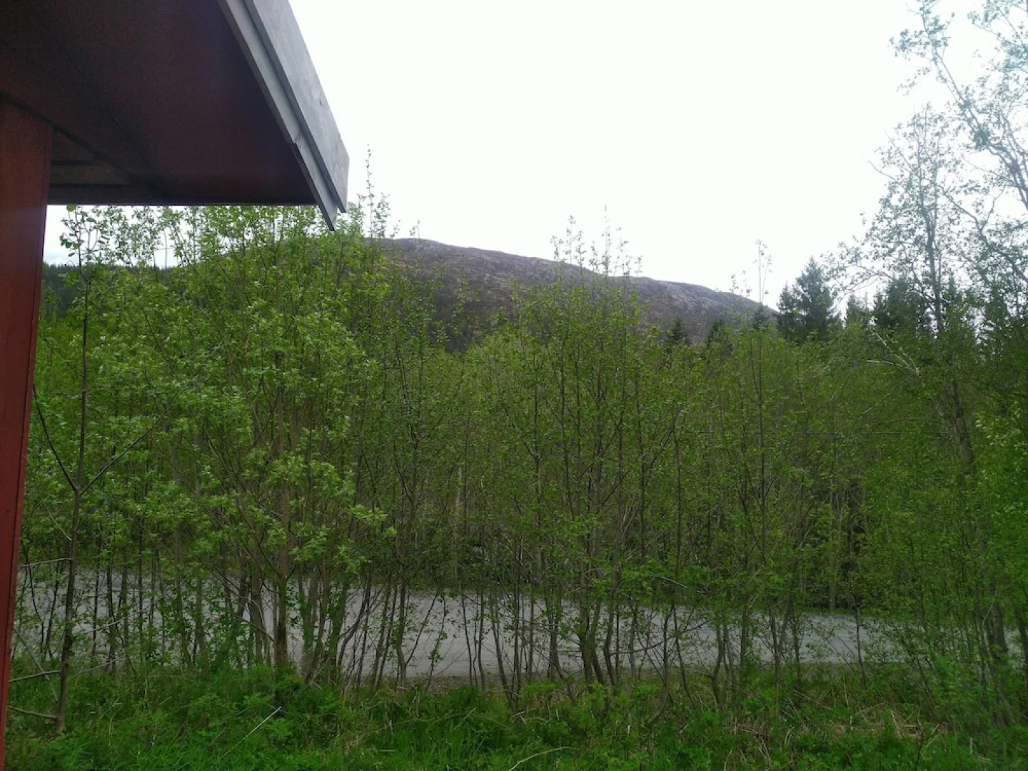 Holandsvika Bomiljø