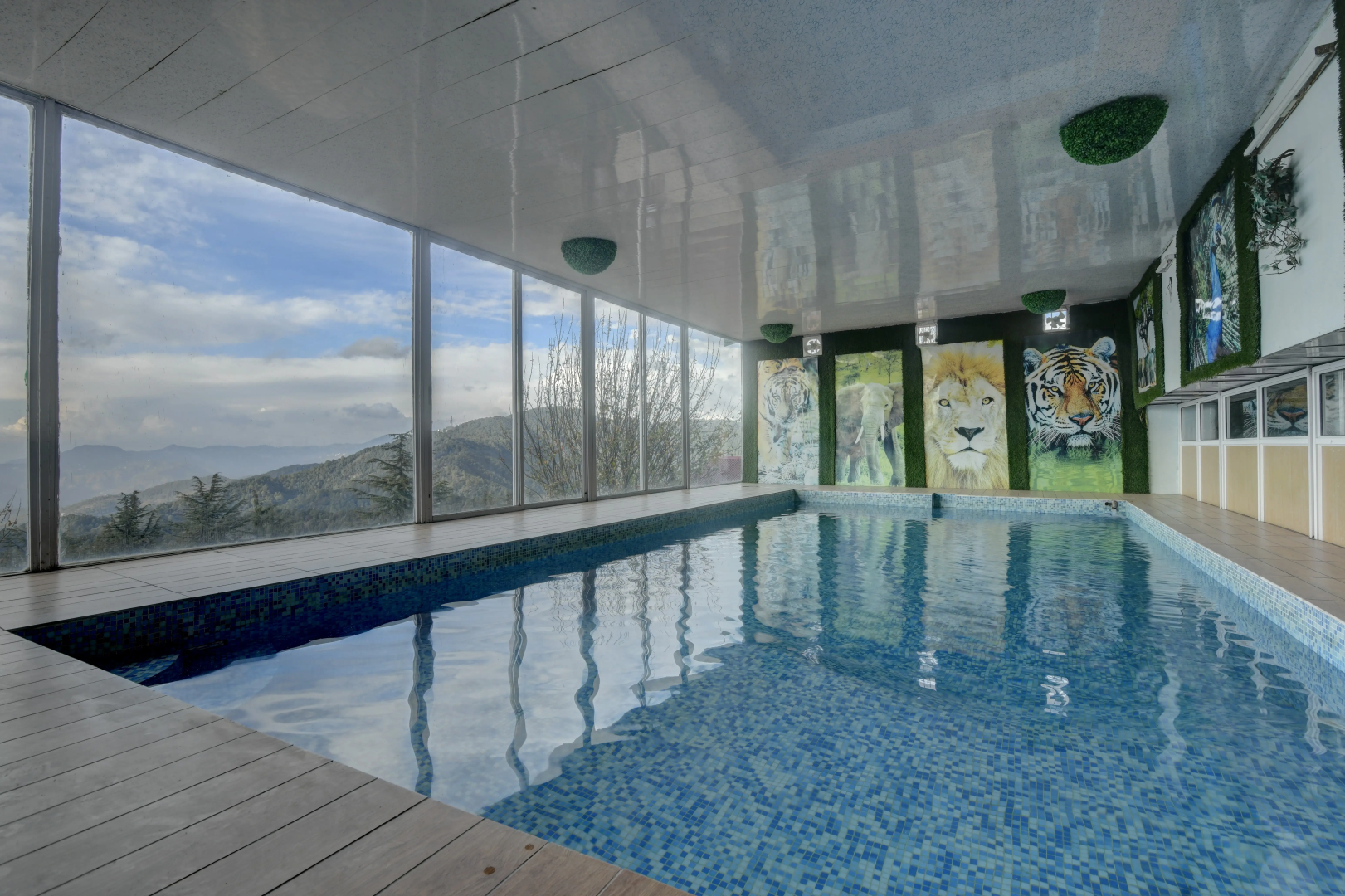 Tarika Resort & Spa, Chail