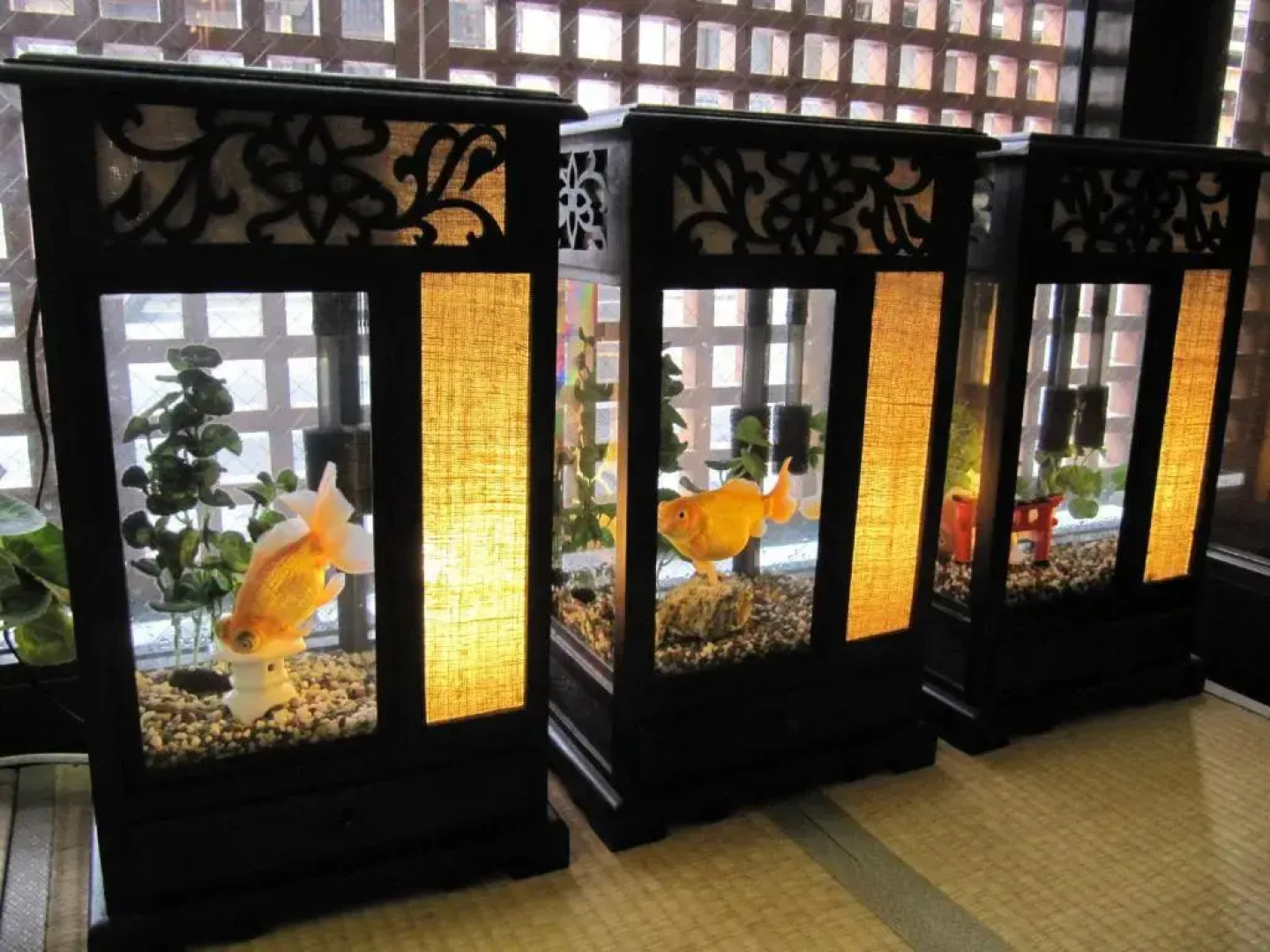 Dyeing and Hostel NAKASHIMAYA - Caters to Women