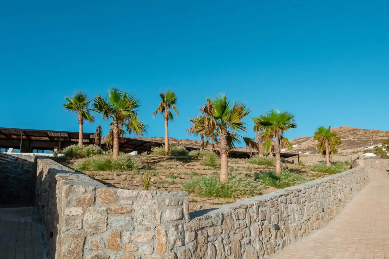 Отель Ftelia Black Villas