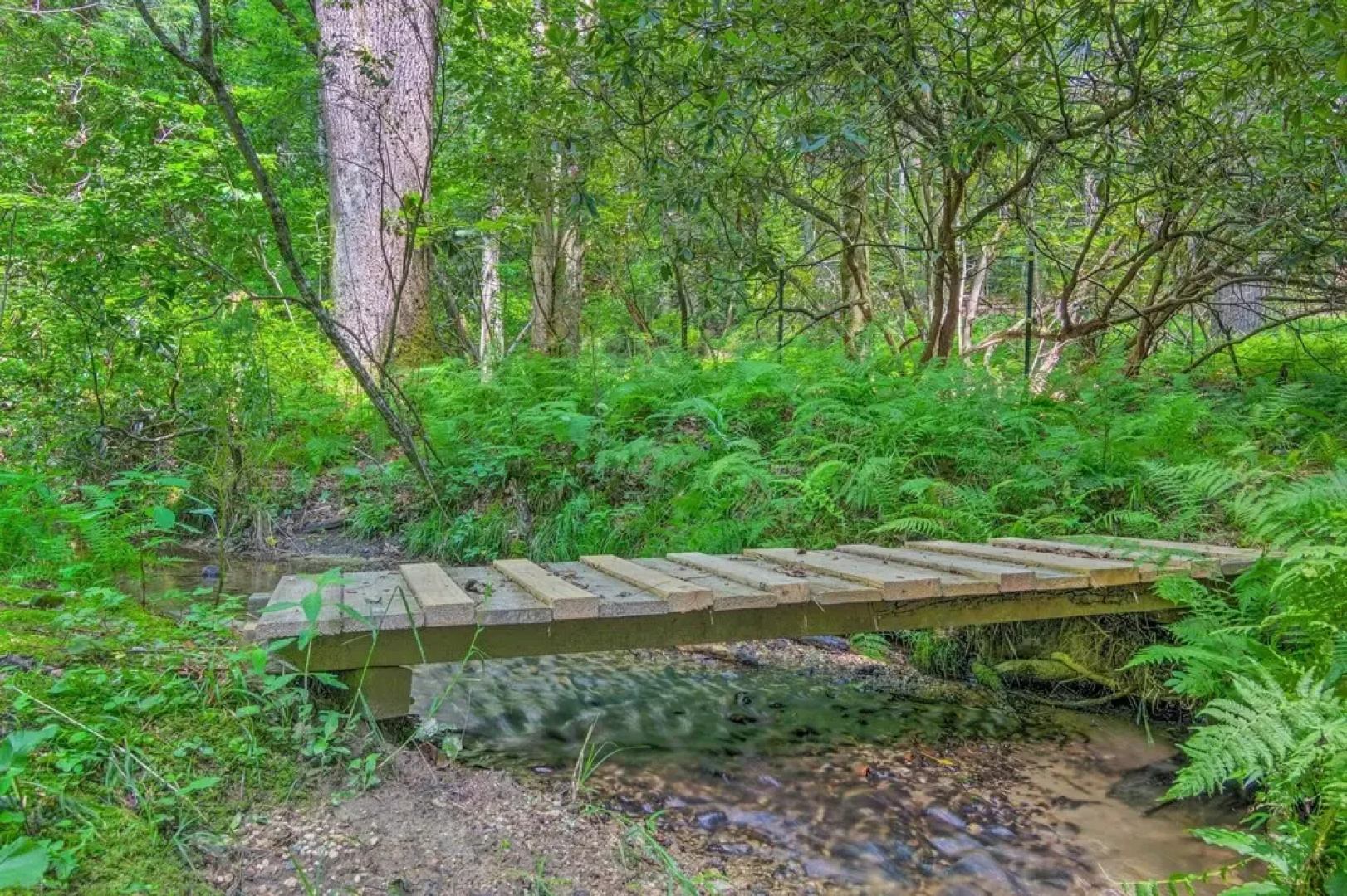 Rustic & Authentic Farm Stay by Dupont Forest!
