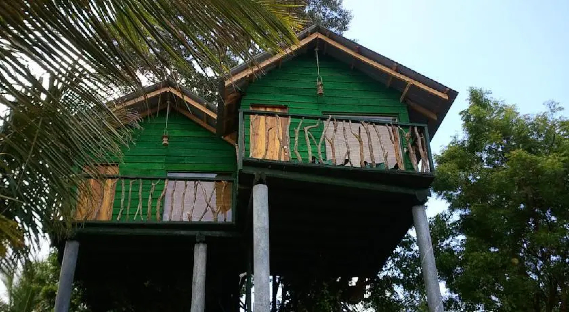 Yala Eco Tree House