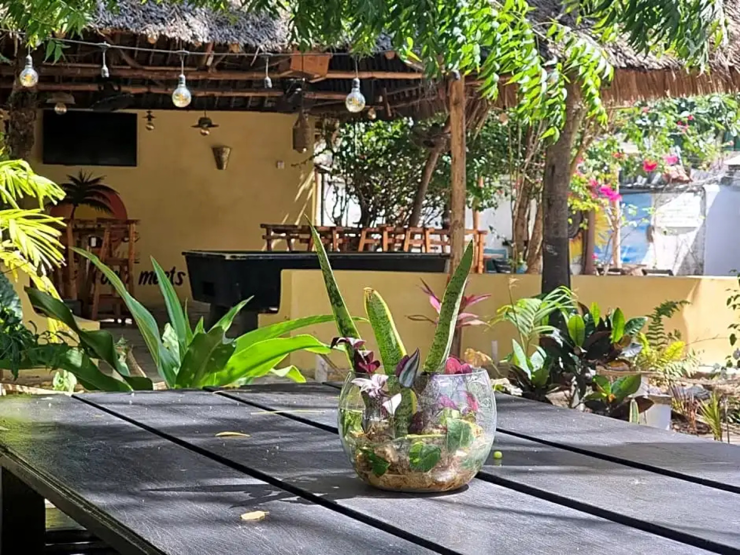 Tulia House - Hostel