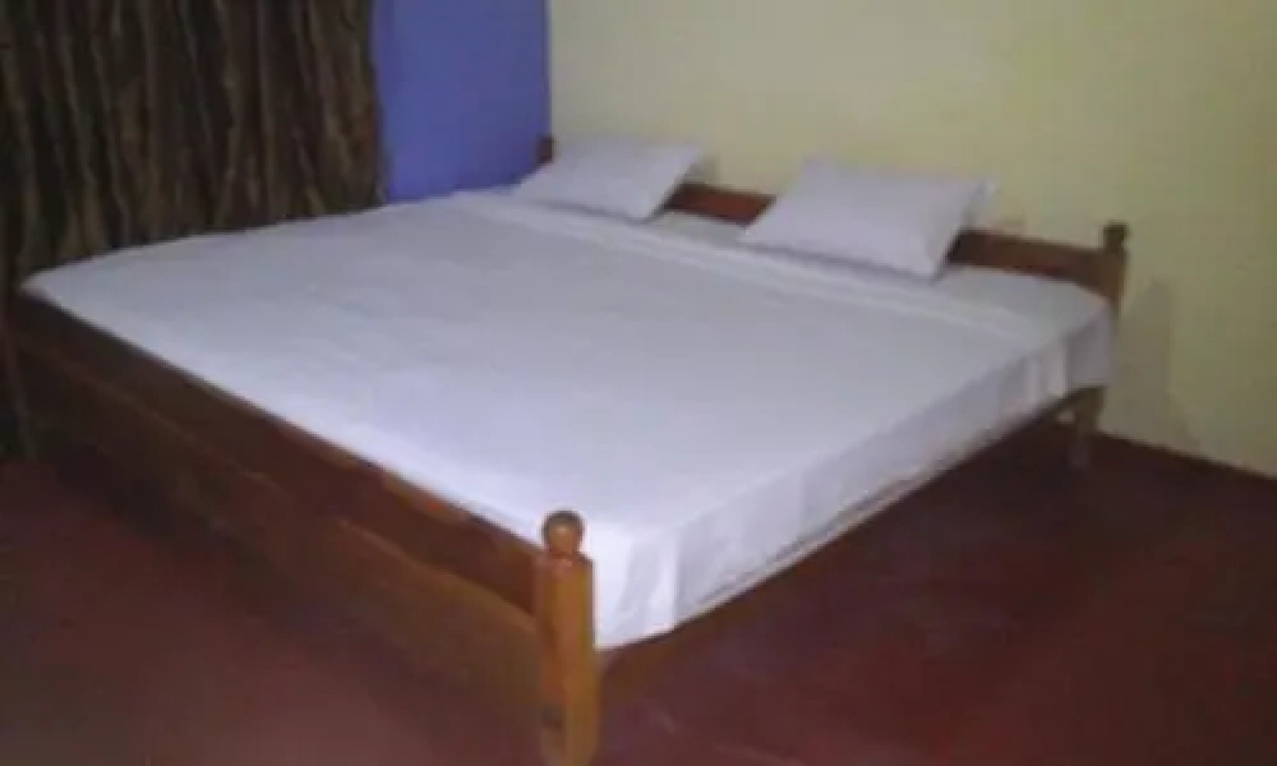 Elephant Reach Udawalawa