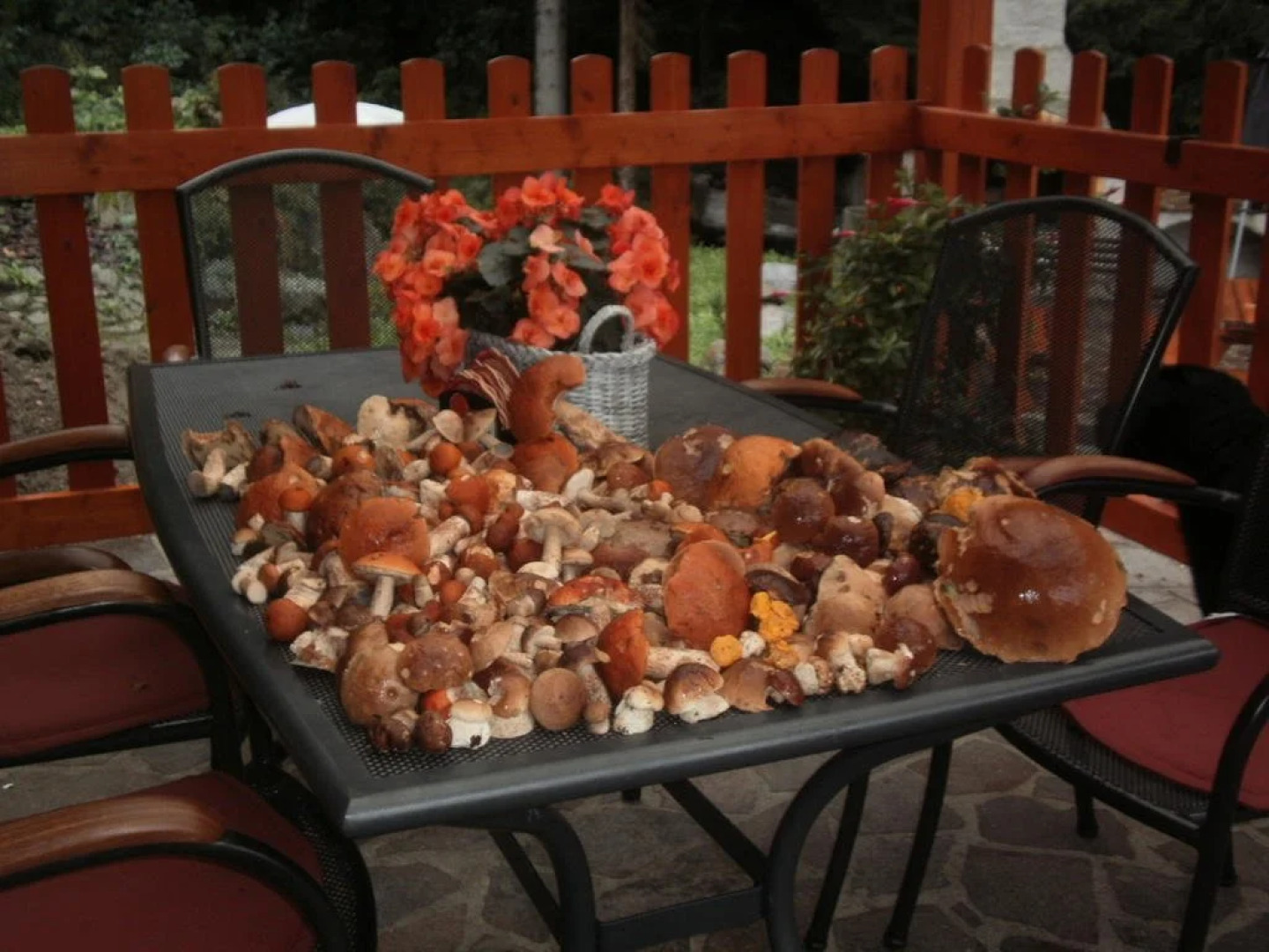 Penzion Harmonie Rohanov