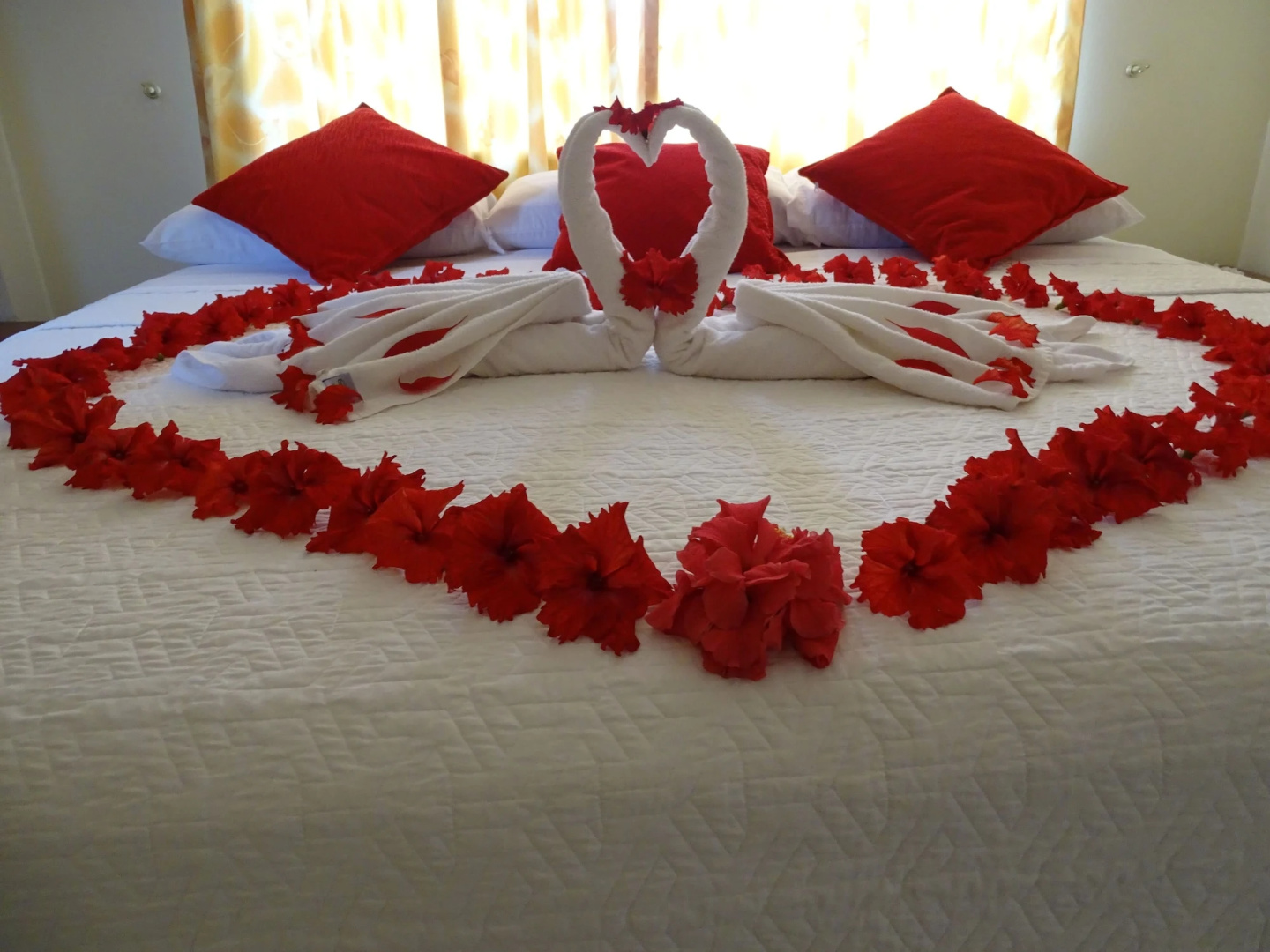 Hotel Red Booby