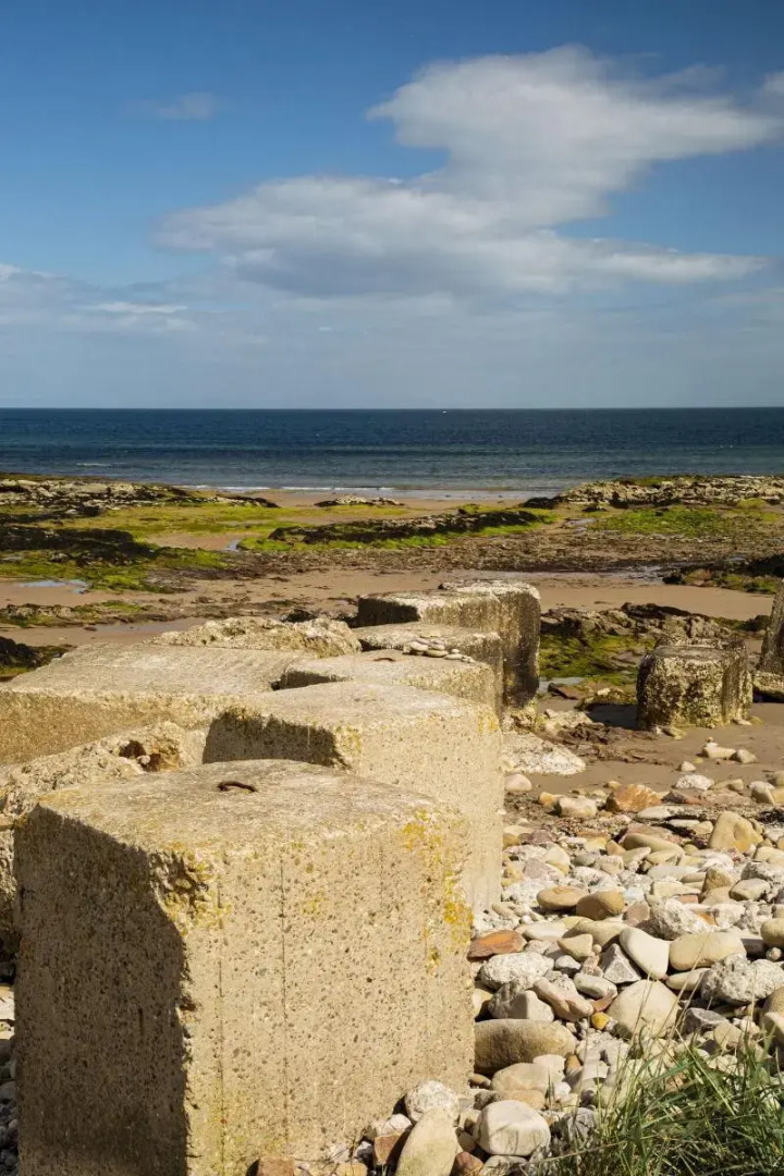 Firth Hotel & Restaurant