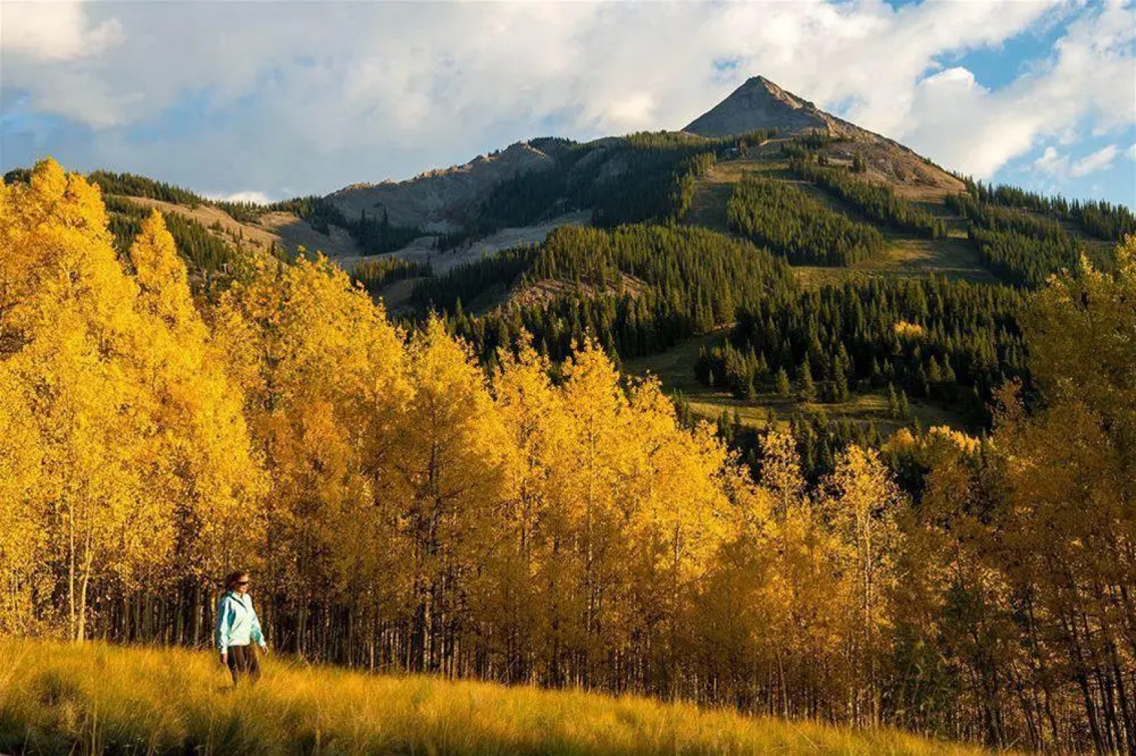 Paradise Condos - Crested Butte Mountain Rentals