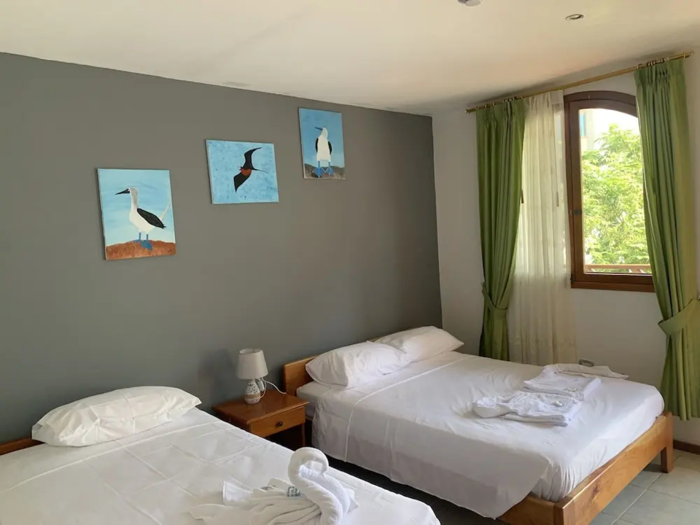 White House Galapagos