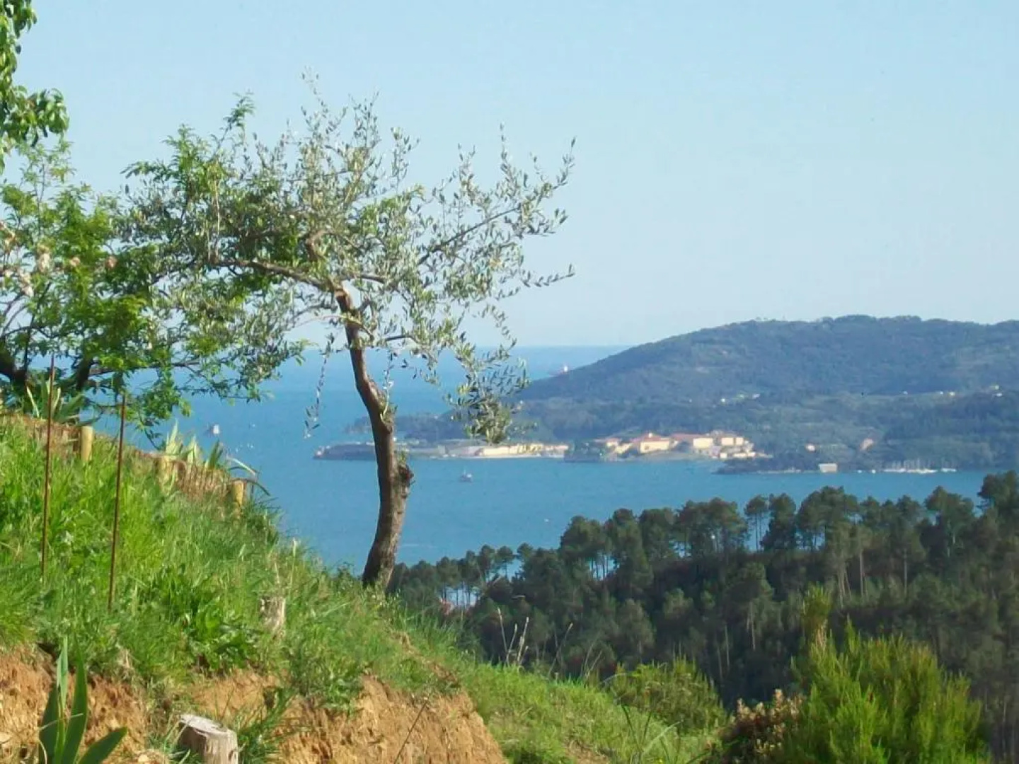 5 Terre - B&B La Giuditta - La Spezia