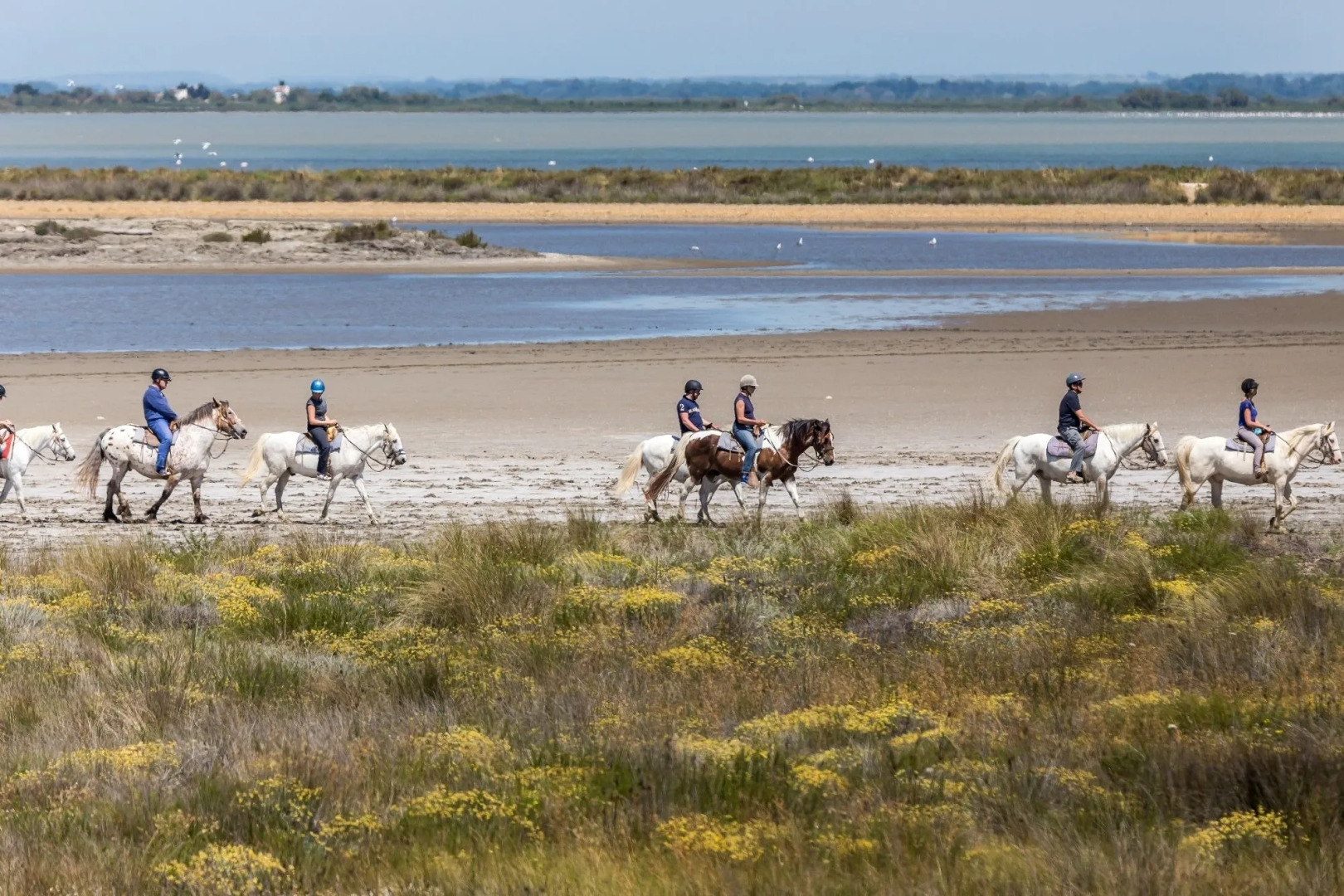 Auberge Cavaliere du Pont Des Bannes
