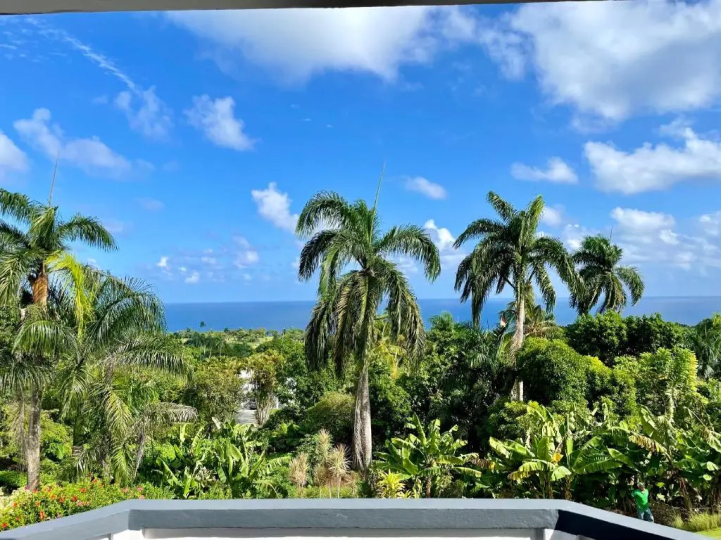 Catalina Tropical Lodge