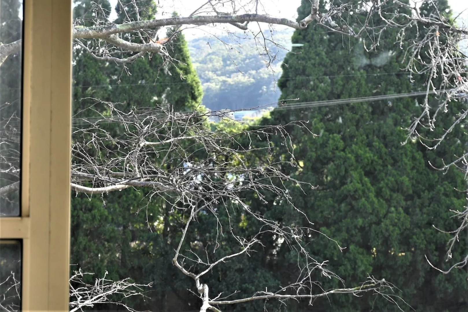 Best Western Grand Country Lodge Motel