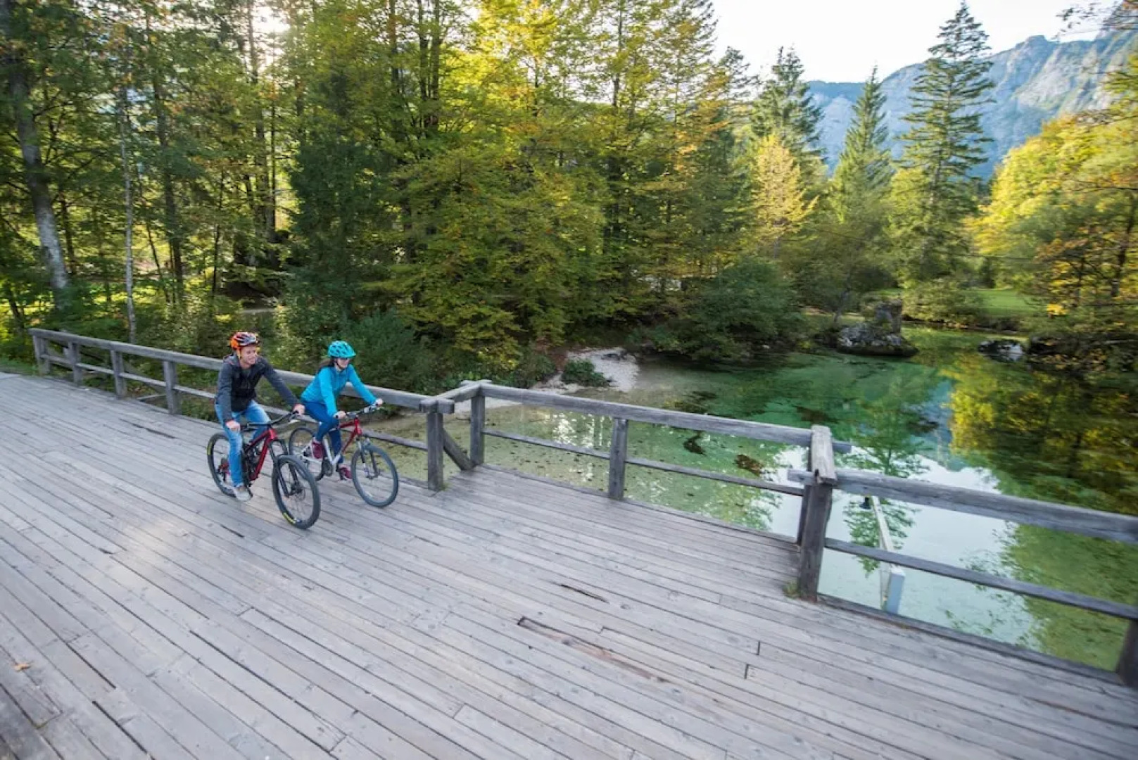 ALPIK Chalets - Bohinj