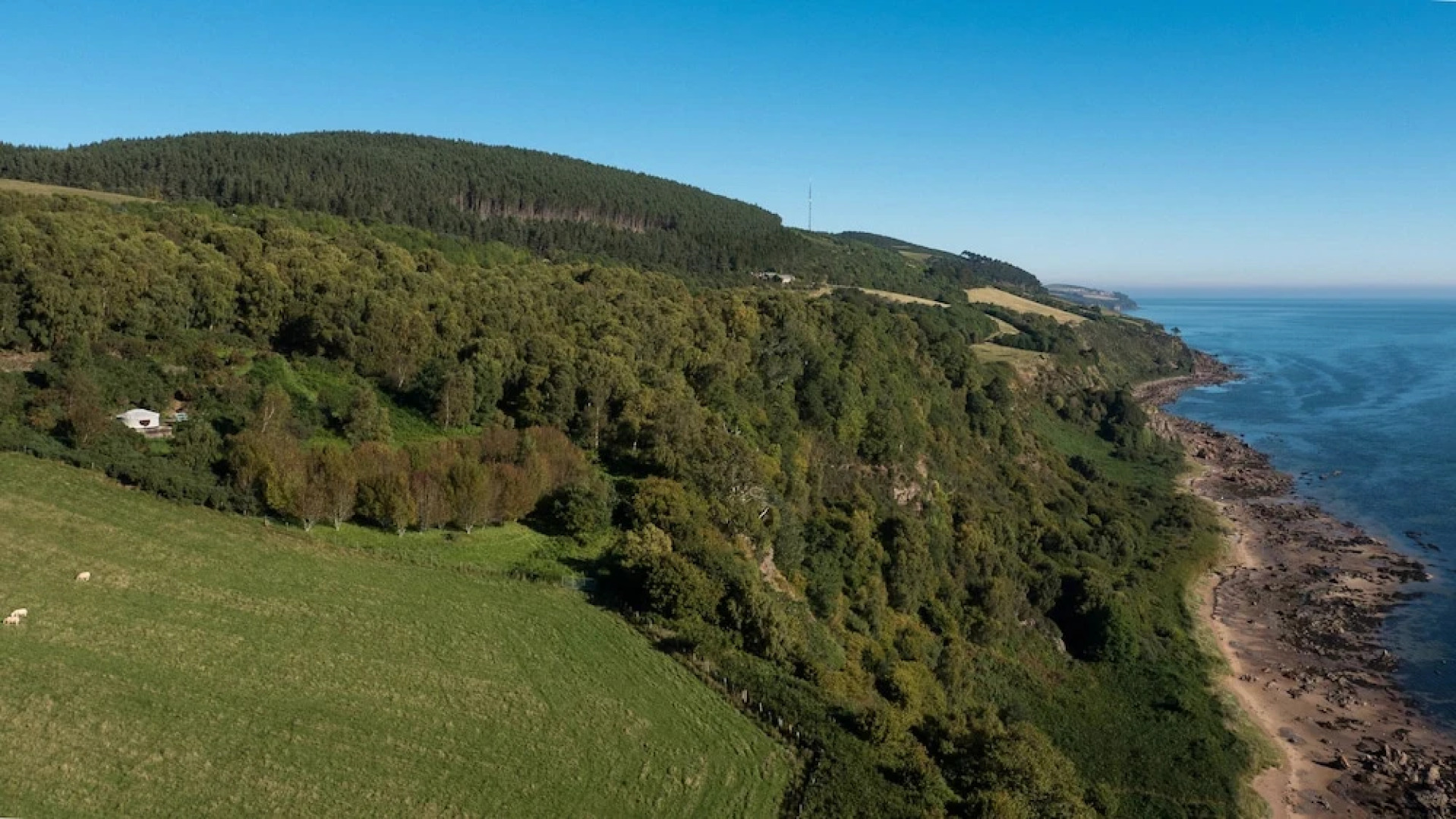 Aspen Yurt - Campsite