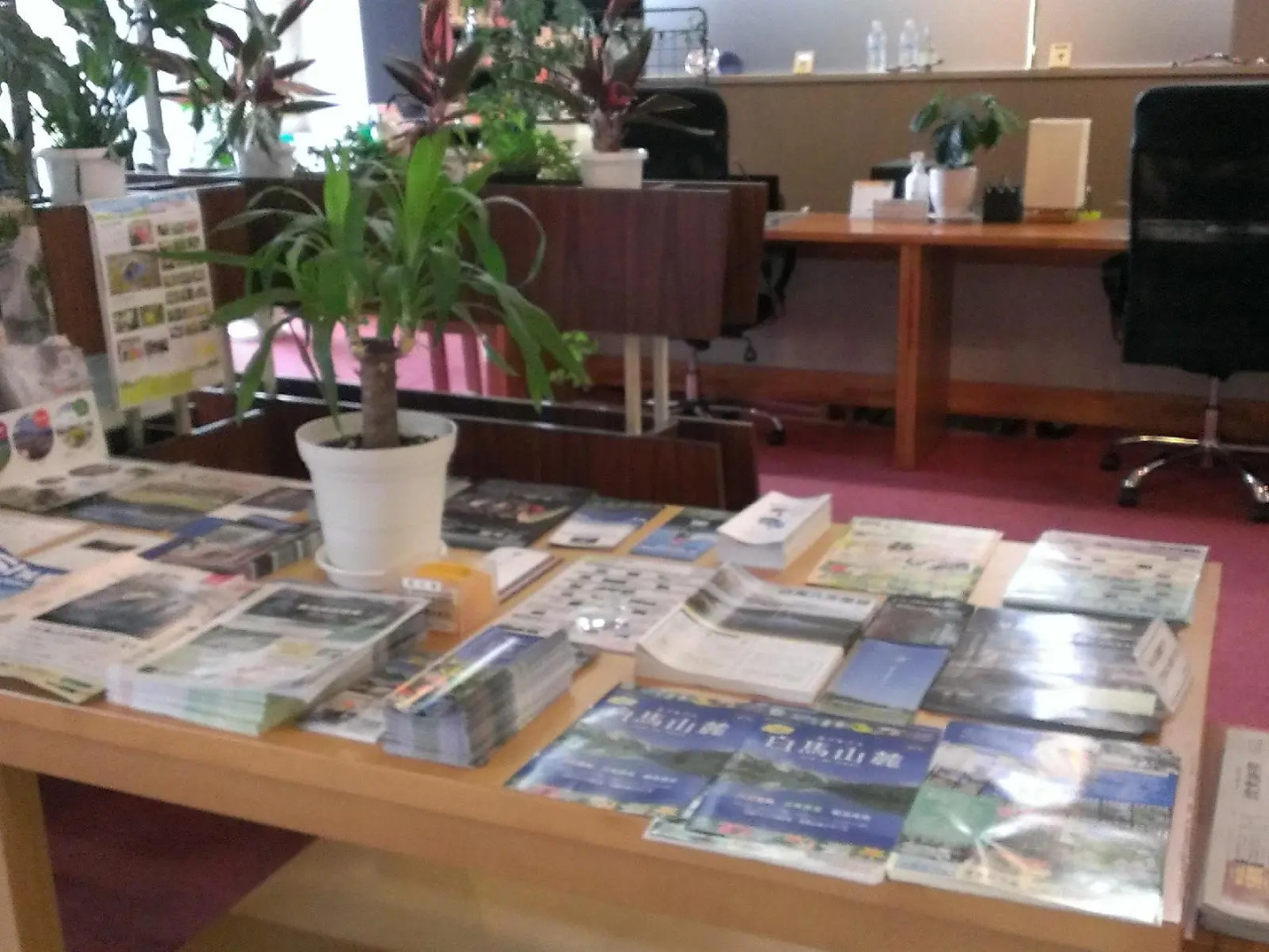 Hotel Karamatsuso