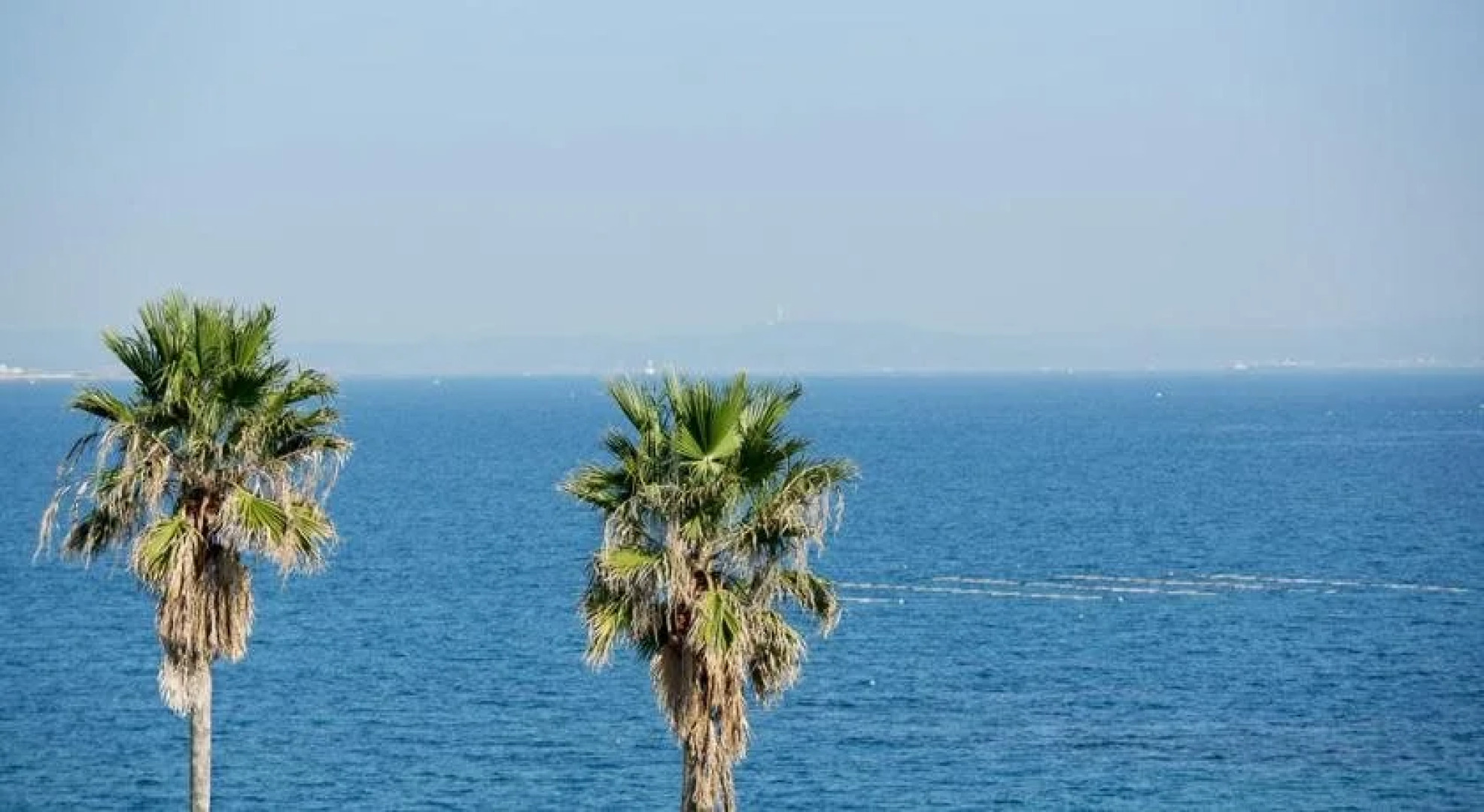 Caro Foresta Miurakaigan ARENA