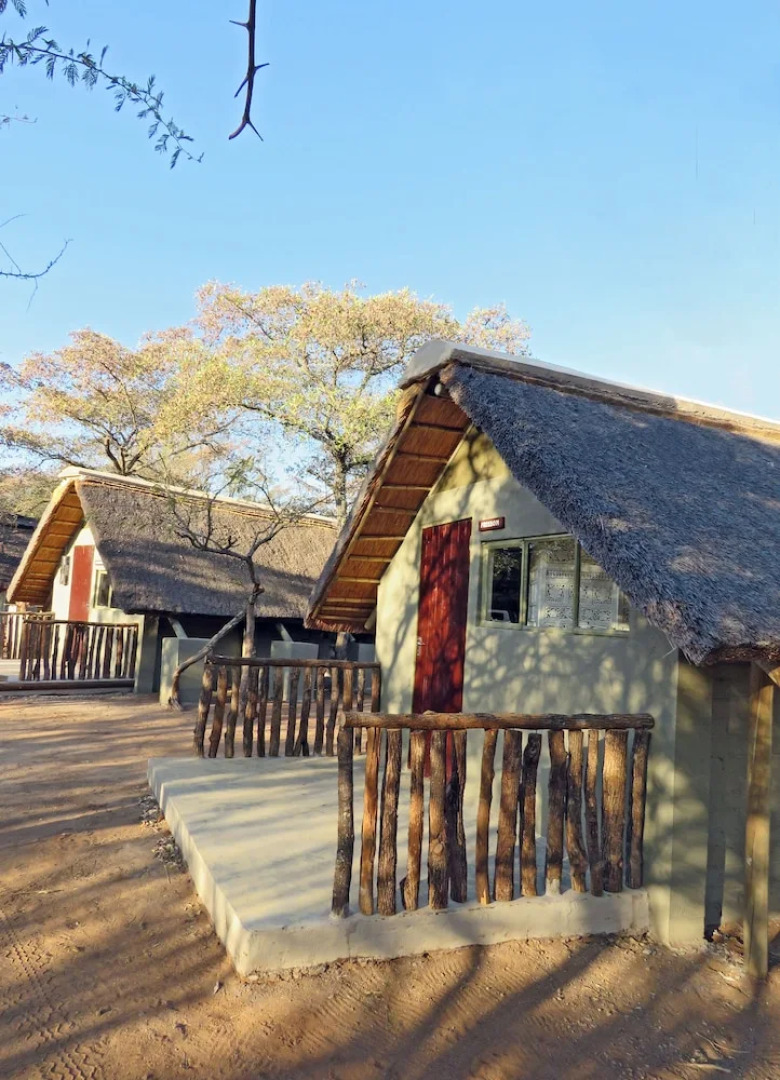 Wild Dogs Safari Lodge