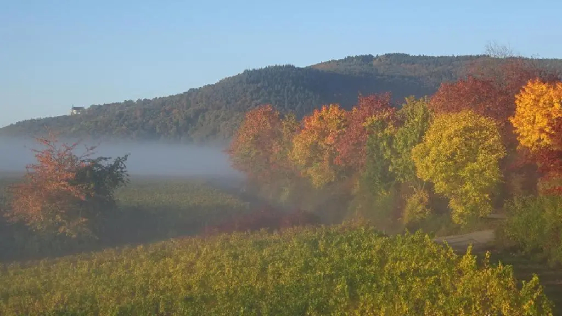 Gästehaus Moni Jäger