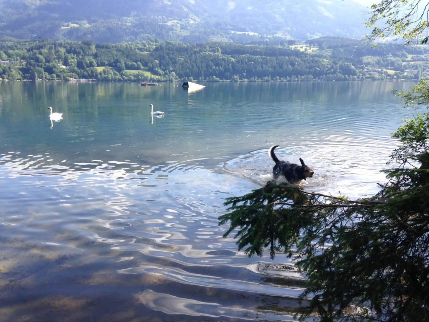 Gartenwohnung Gretl mit Biotop in Seenähe