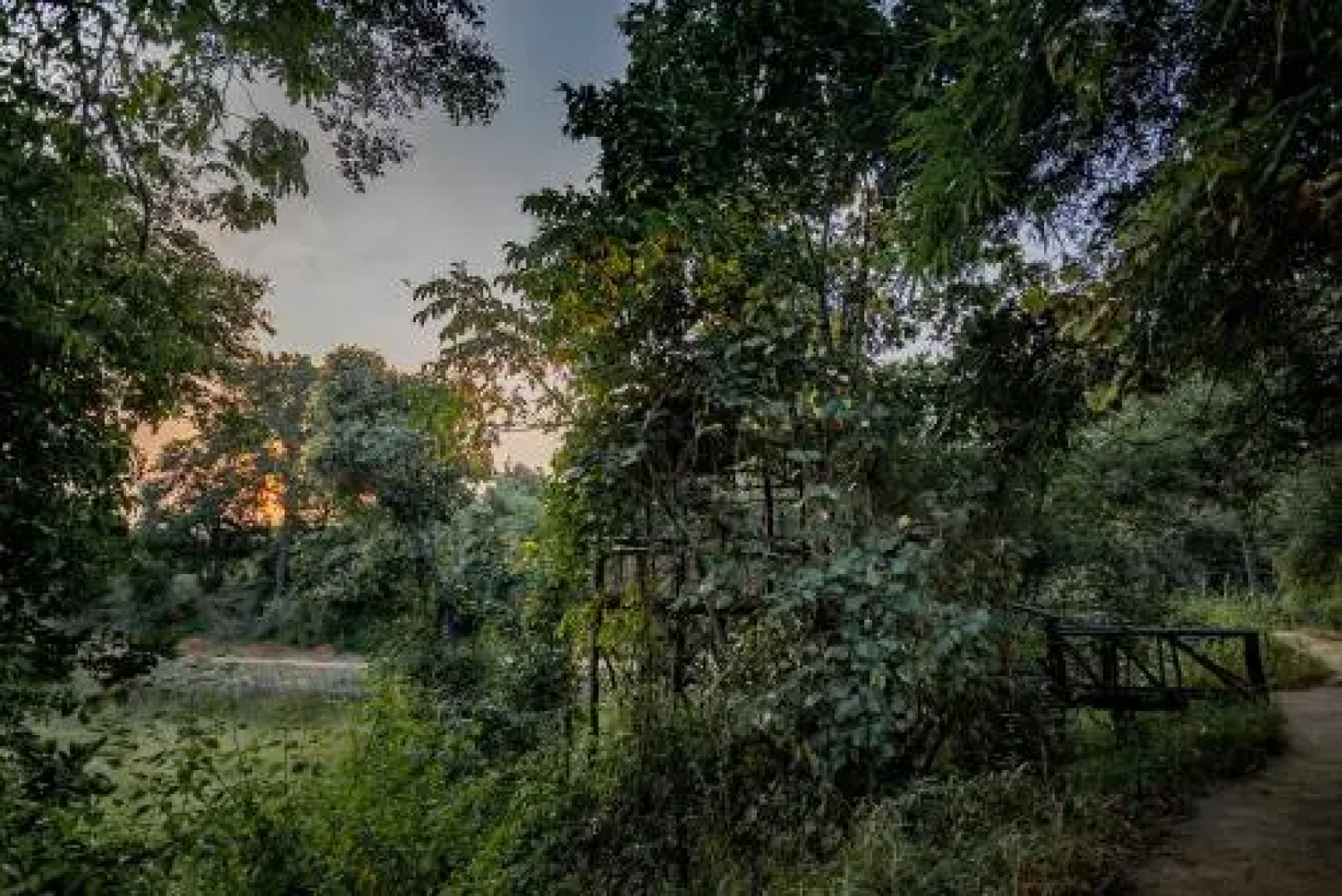 Tree House Hideway Bandhavgarh