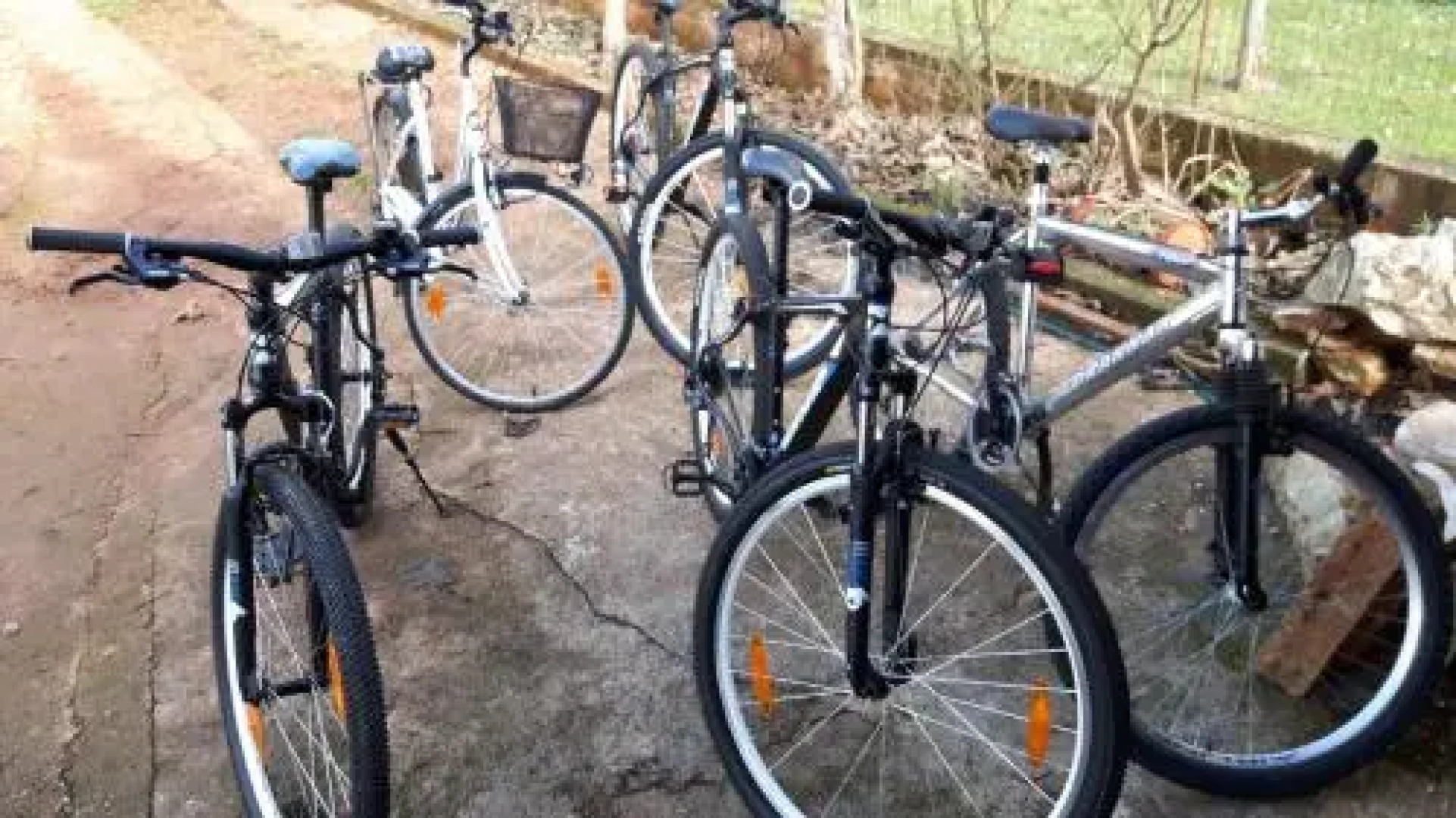 Apartments & Rooms Villa Adamović