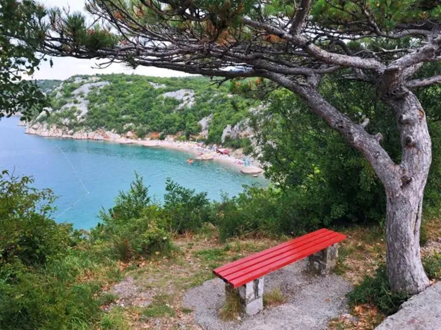 Apartmani Karla