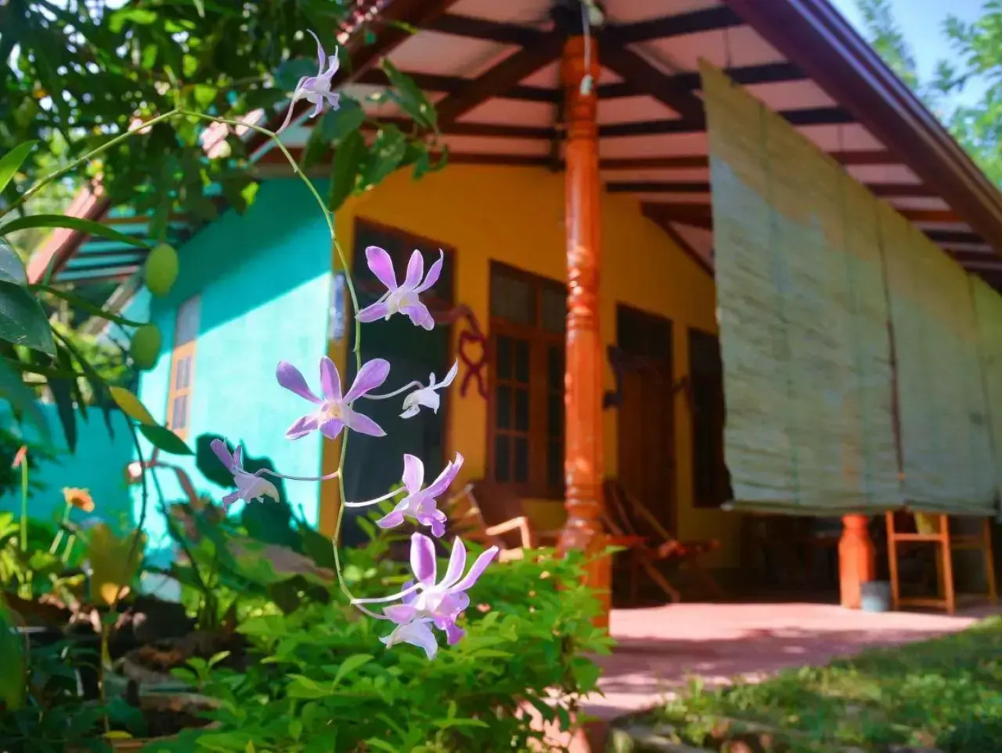 Nethmi Homestay & Restaurant