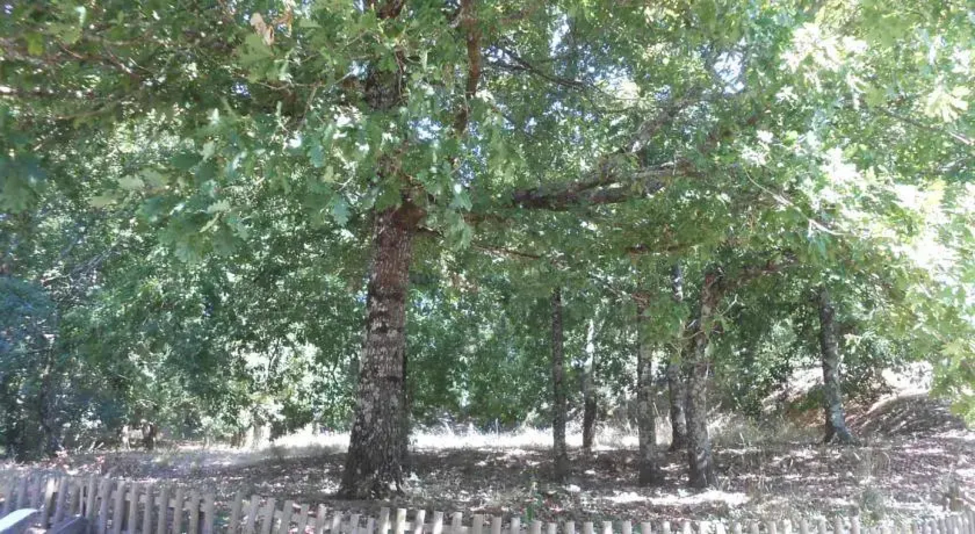 Quinta do Vale Pereiro