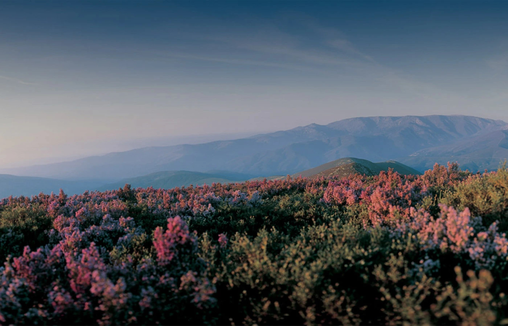 Abrigo da Montanha Hotel Rural & Spa