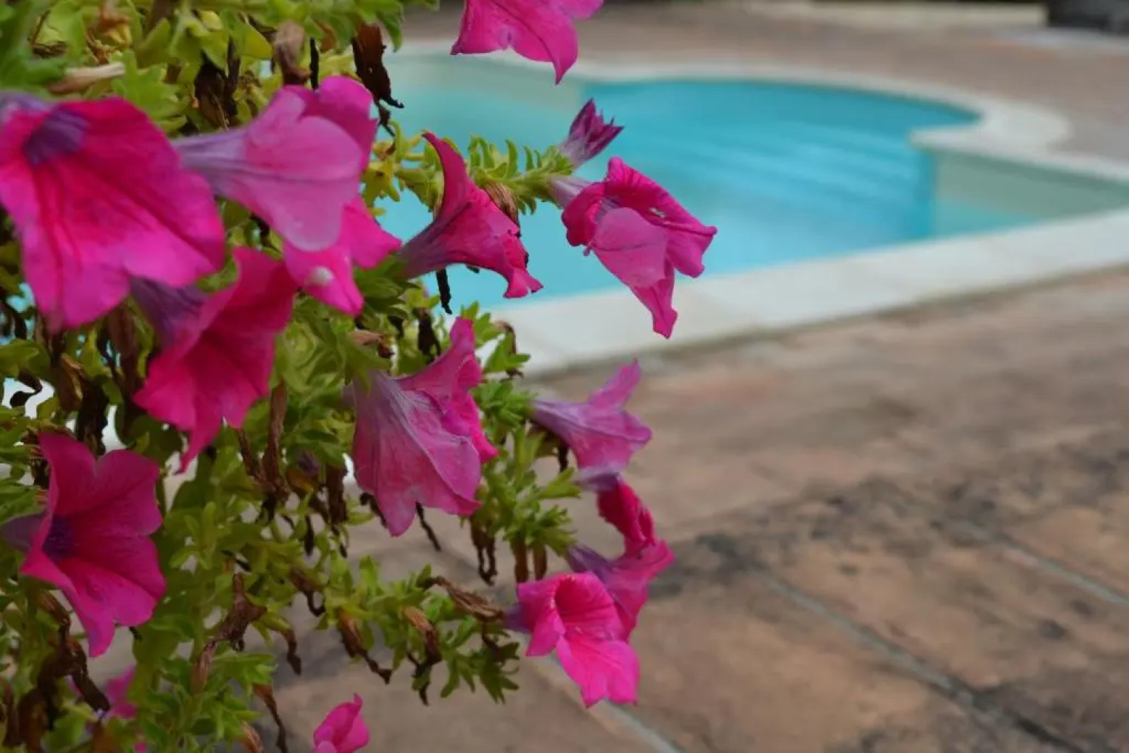 Casale Montemoro With Pool