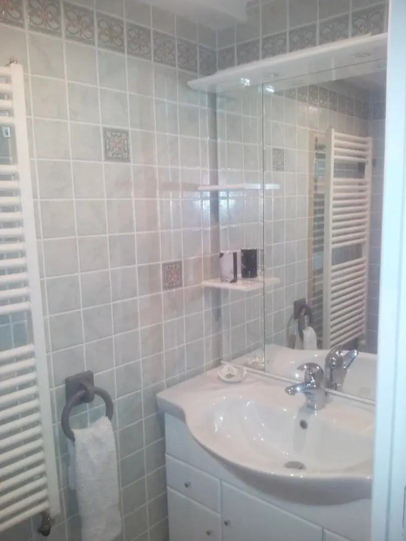 Apartment With one Bedroom in LES Carroz, With Wonderful Mountain View