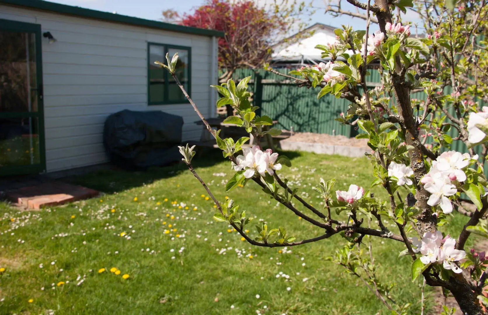 Pinedale Lodge & Apartment