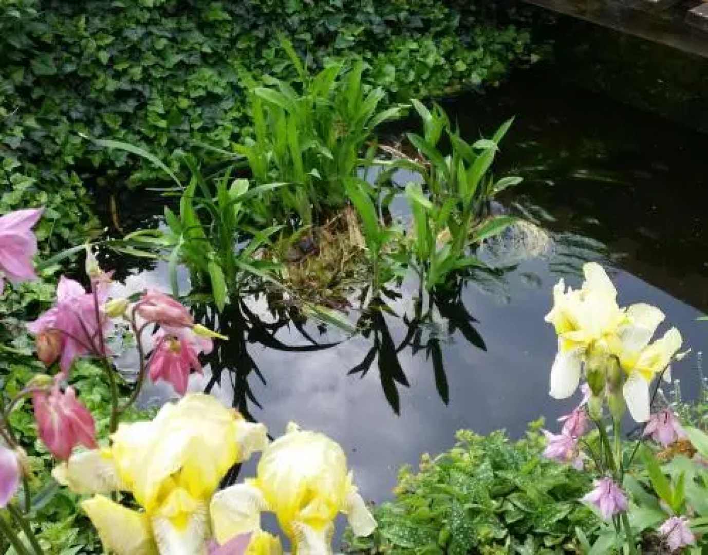 Gartenidylle in Sandau
