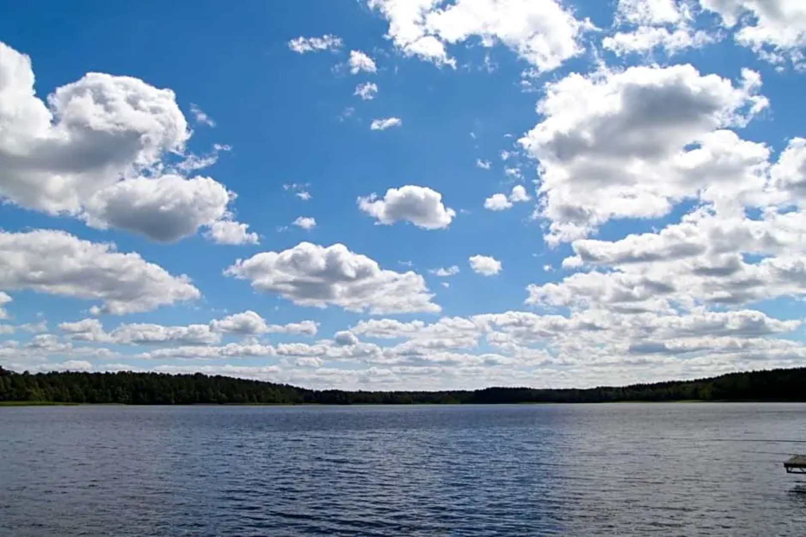 Domek Bory Tucholskie