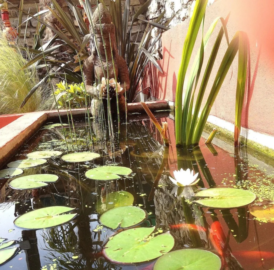 Maison atypique 11e siècle