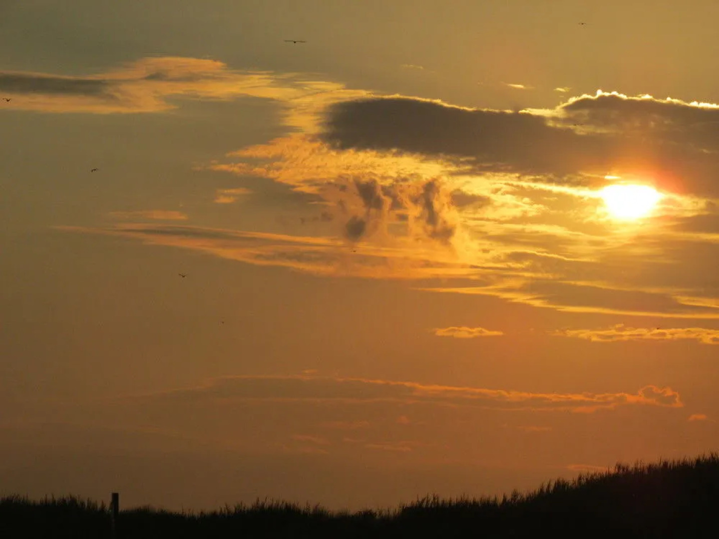 Brunswick Plantation Commons II #2505