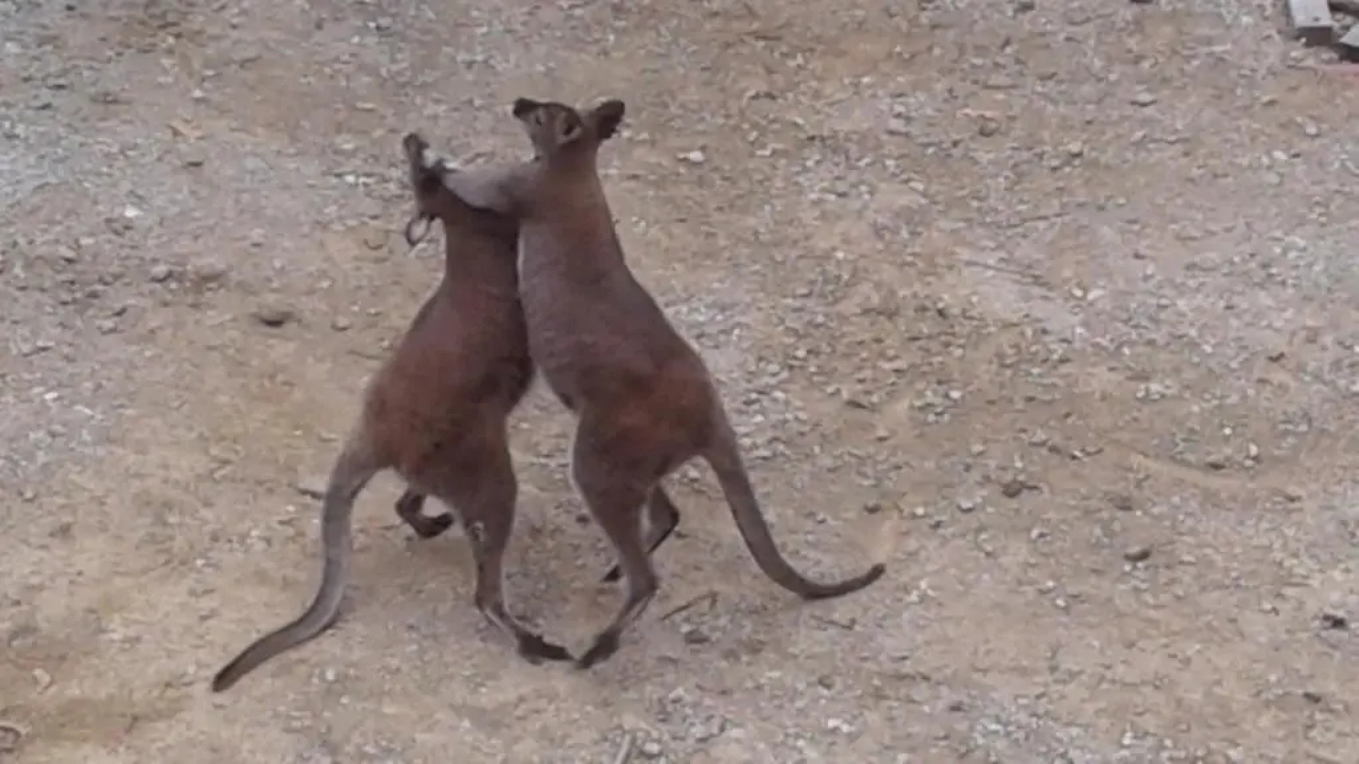 Adventure Bay Beach House