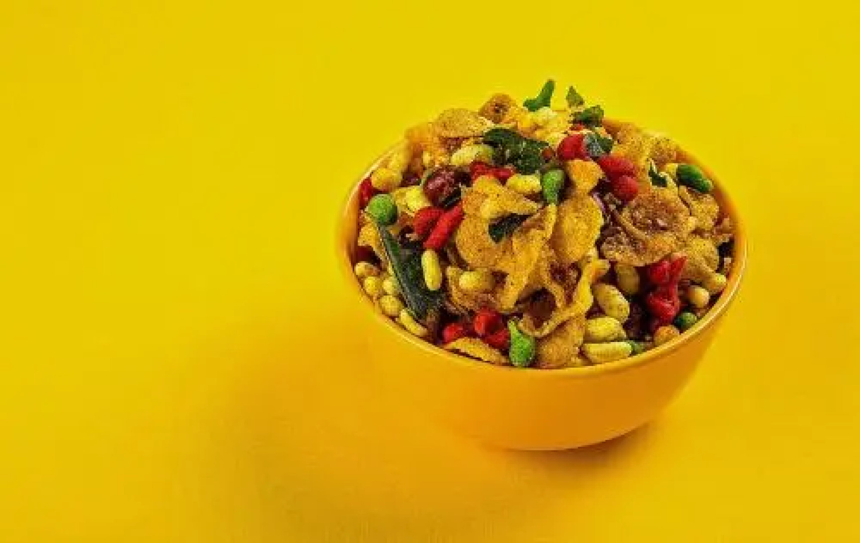 OYO 15684 Hotel Vibrant Inn