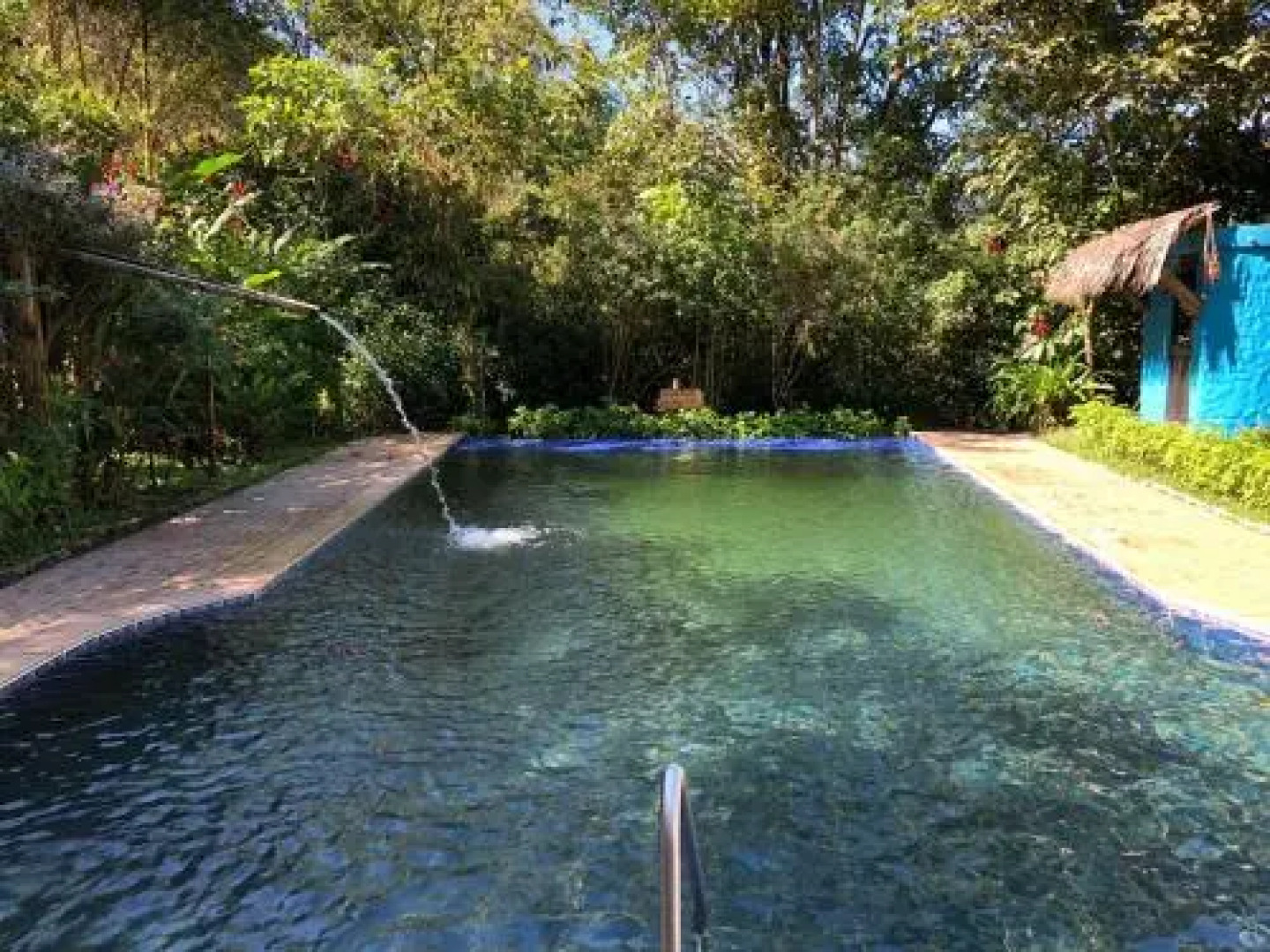 El Abrazo del Arbol - Farm Eco Lodge