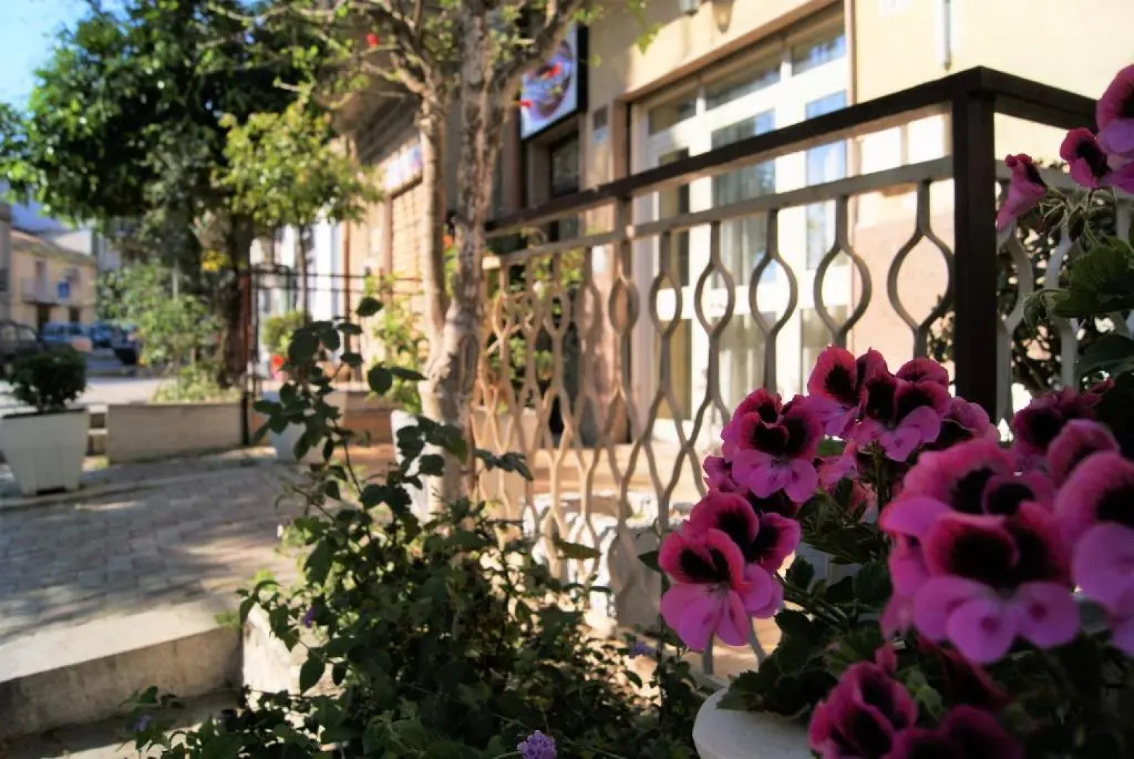 Bed & Breakfast Oleaster