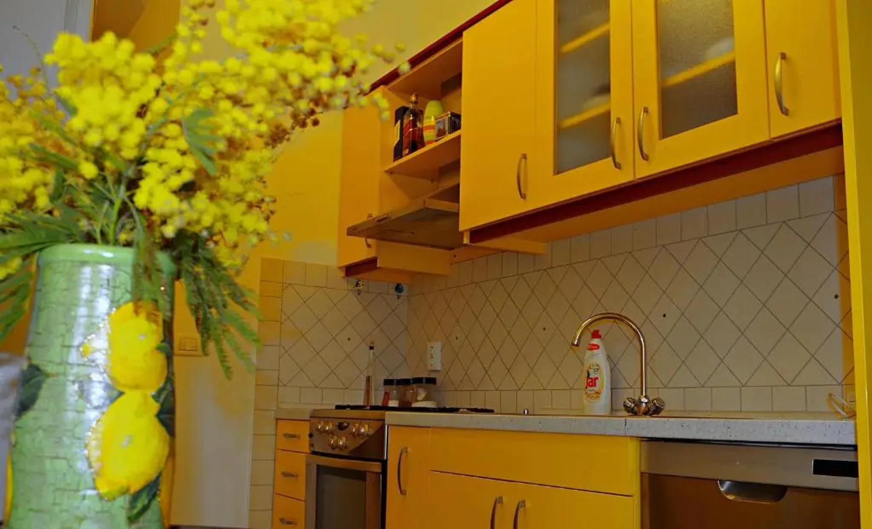 Apartmani Mihaela Dobropoljana 52