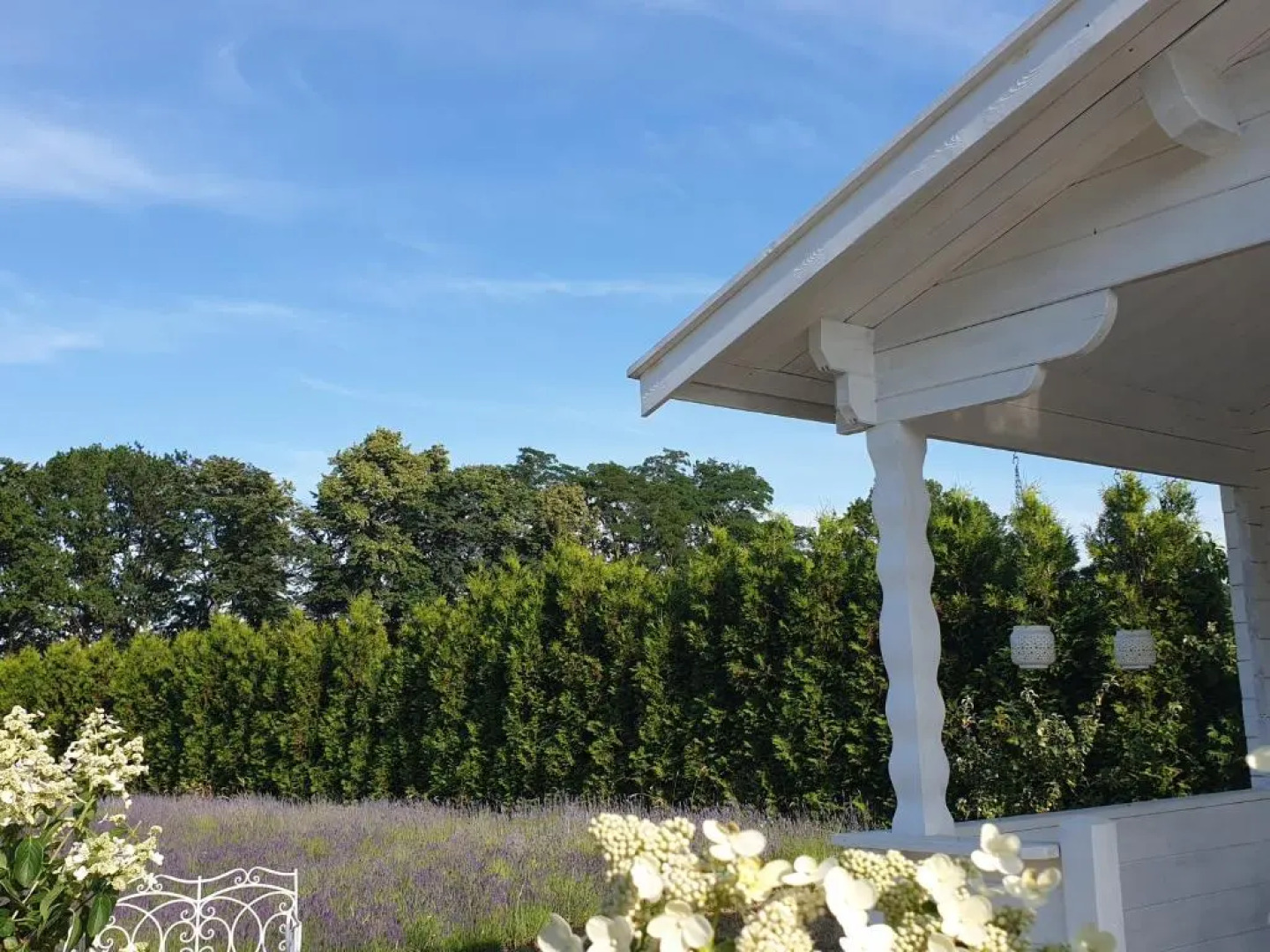 Noclegi Biała Róża