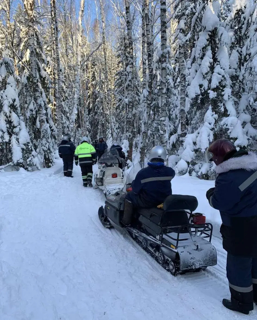 Домик в Подмосковье Под Аистом